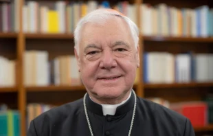 Cardenal Gerhard Mu00fcller. Cru00e9dito: Daniel Ibu00e1u00f1ez / ACI Prensa. 