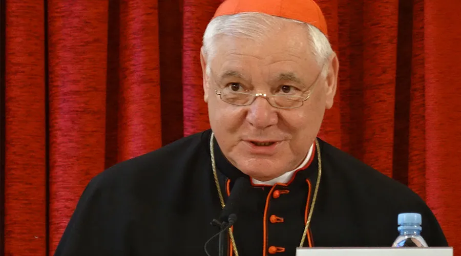 Cardenal Gerhard Müller, prefecto emérito de la Congregación para la Doctrina de la Fe. Crédito: Unión Seglar.