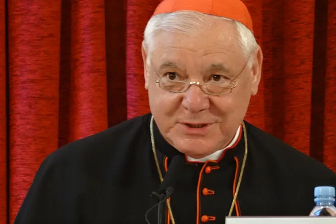 Cardenal Müller: La fe en Jesucristo es la verdadera modernidad 