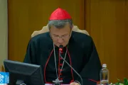 En el Sínodo la Iglesia obedece al Espíritu, no al revés, advierte el Cardenal Grech