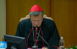El Cardenal Grech lee su mensaje. Foto: Vatican Media / Captura de Youtube 