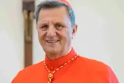 Cardenal Grech: La sinodalidad no es una “novedad” del Papa