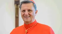 Secretario General del Sínodo de los Obispos, Cardenal Mario Grech. Crédito: Diócesis de Gozo (Wikipedia CC BY-SA 4.0)