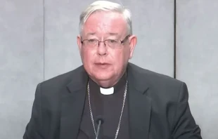 Cardenal Jean-Claude Hollerich. Cru00e9dito: Youtube Vatican News 