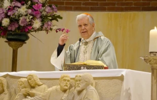 Cardenal Jorge Urosa. Cru00e9dito: David Ramos / ACI Prensa. 