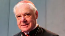 Cardenal Gerhard Müller. Crédito: ACI Prensa