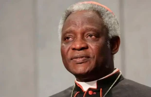 Cardenal Peter Turkson. Cru00e9dito: Daniel Ibu00e1u00f1ez (ACI) 