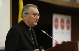 Cardenal Pietro Parolin. Cru00e9dito: ACI Prensa 