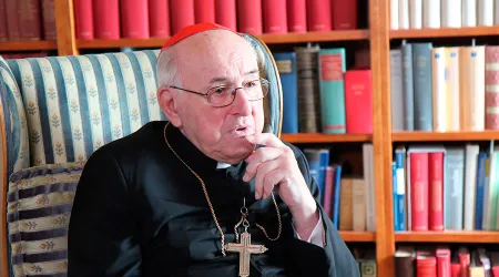 Cardenal alemán hace serias objeciones a documento de trabajo del Sínodo de la Amazonía