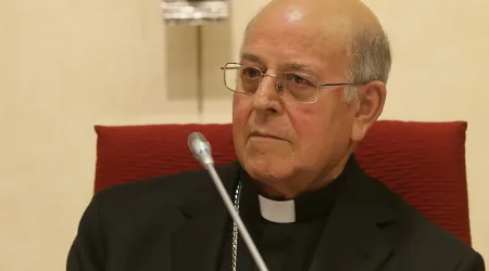 Obispos serán examinados si cumplen normas para proteger menores, asegura Cardenal       