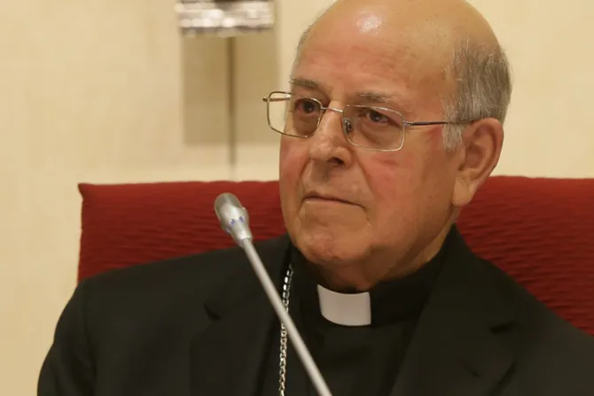 Obispos serán examinados si cumplen normas para proteger menores, asegura Cardenal       