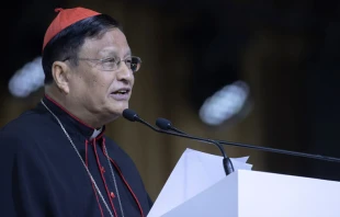 Cardenal Charles Bo en el Congreso Eucaru00edstico de Budapest. Cru00e9dito: Daniel Ibu00e1u00f1ez / ACI Prensa 