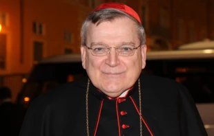 Cardenal Raymond Burke. Cru00e9dito: ACI Prensa 