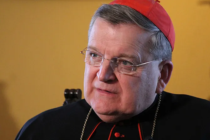 Papa Francisco: Es falso que eché al Cardenal Burke