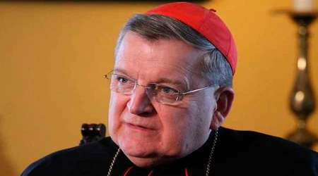 El Papa Francisco repone al Cardenal Burke en la u201cCorte Supremau201d del Vaticano