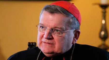 El Papa Francisco repone al Cardenal Burke en la “Corte Suprema” del Vaticano