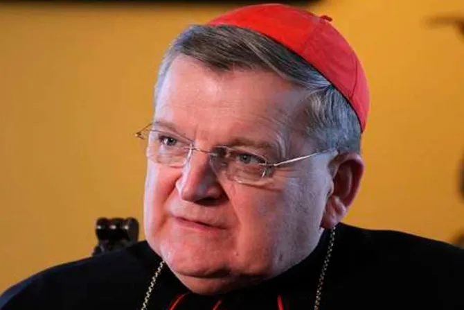 El Papa Francisco repone al Cardenal Burke en la “Corte Suprema” del Vaticano