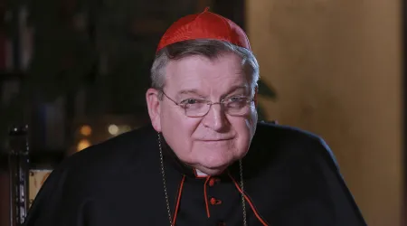 Cardenal Burke: Lefebvristas están en cisma con la Iglesia Católica