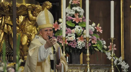 Cardenal Osoro animó a celebrar día de San Isidro, patrón de Madrid, “creando comunión”
