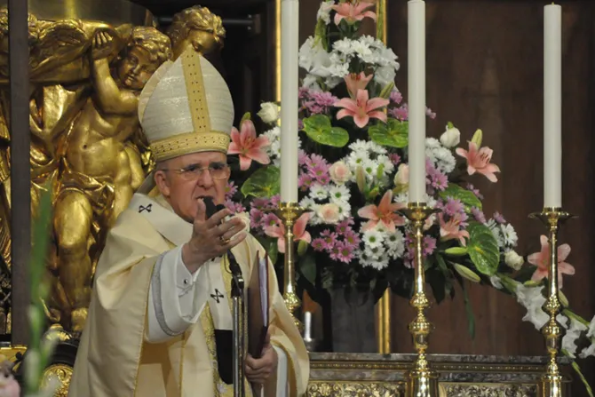 Cardenal Osoro animó a celebrar día de San Isidro, patrón de Madrid, “creando comunión”