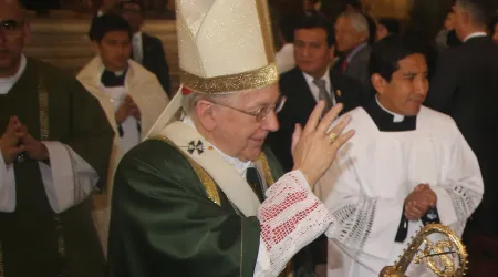 Cardenal alienta diálogo democrático para evitar enfrentamiento de poderes en Perú