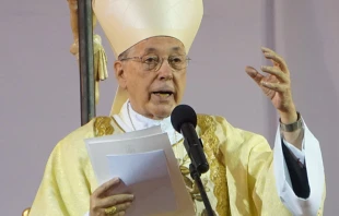 Cardenal Juan Luis Cipriani en Misa en segundo du00eda del X Congreso Nacional Eucaru00edstico y Mariano en Piura. Foto: David Ramos / ACI Prensa. 
