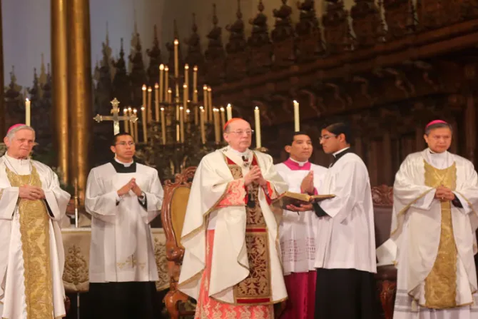 Perú: Cardenal pide defender la familia y denuncia peligros de ideología de género