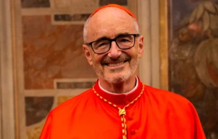 Cardenal Michael Czerny. Cru00e9dito: Daniel Ibu00e1u00f1ez / ACI Prensa 