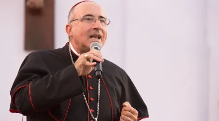 Cardenal alienta a católicos a no acomplejarse frente a discriminaciones