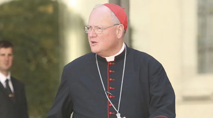 Cardenal Timothy Dolan. Foto: ACI Prensa?w=200&h=150