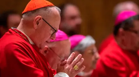 Cardenal Dolan alienta la esperanza ante la persecución religiosa global