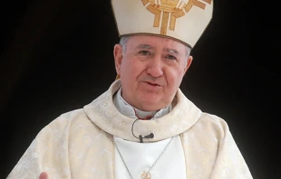 Cardenal Francisco Javier Erru00e1zuriz / Foto: Wikipedia Municipalidad de Maipu00fa (CC-BY-2.0) 