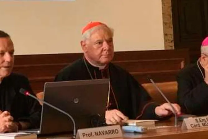 Cardenal Müller: El Papa no es el mesías sino el Vicario de Cristo