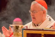 Nuevo Presidente de obispos italianos: No estemos inertes ante problemas de la familia