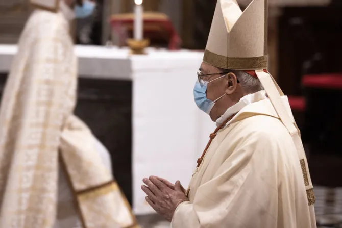 Autoridad vaticana visitará Siria para llevar la cercanía y solidaridad del Papa Francisco