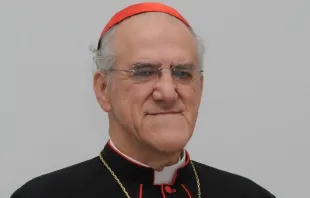 Cardenal Javier Lozano Barragán. Crédito: Vatican News.  