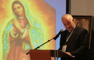 Cardenal Marc Ouellet / Foto: Eduardo Berdejo (ACI Prensa) 