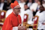 Autoridad vaticana advierte que la Trata de personas aumentó durante la pandemia