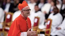 Cardenal Michael Czerny en el Vaticano. Foto: Daniel Ibáñez / ACI Prensa 
