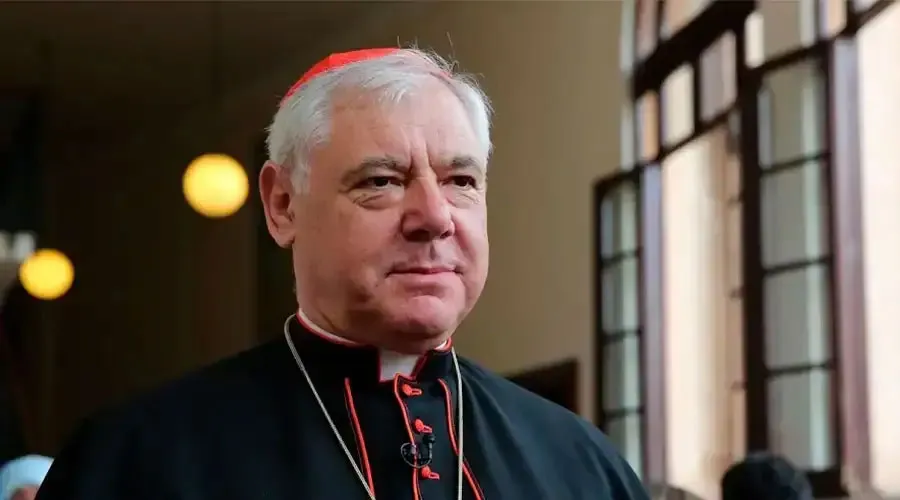 Cardenal Gerhard Müller. Crédito: Bohumil Petrik / ACI Prensa