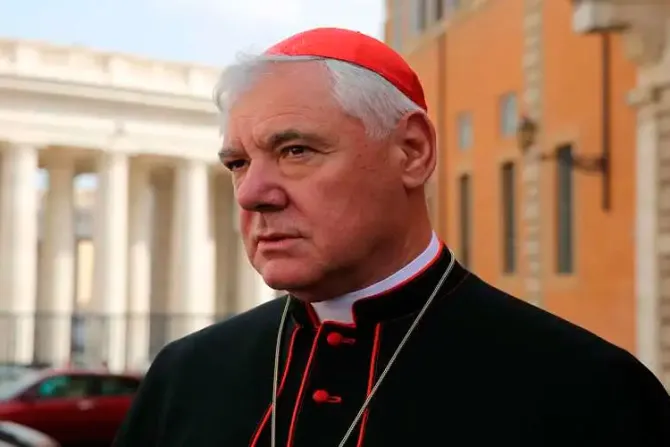 Los obispos no podemos ser “dictadores” con la Misa tradicional, dice Cardenal Müller