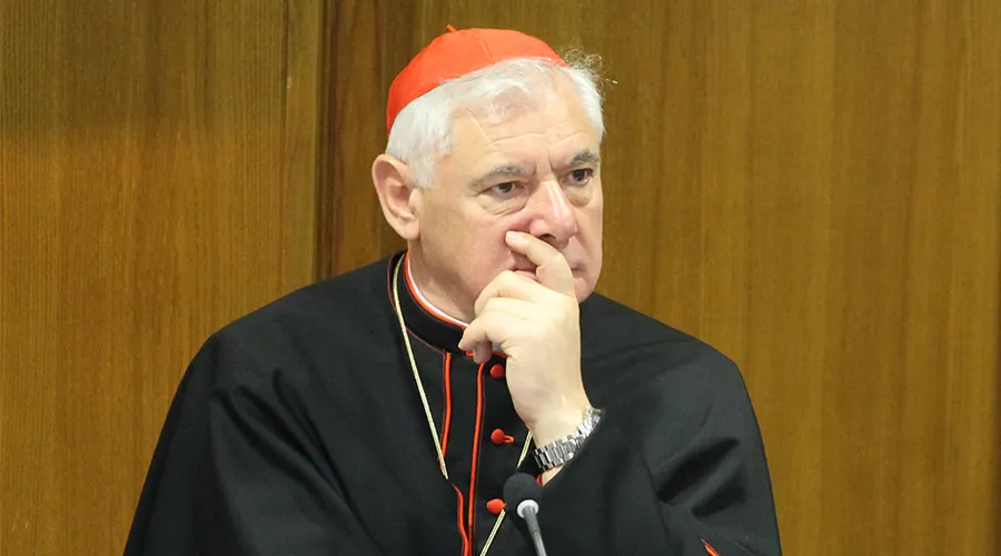 Cardenal Gerhard Müller / Foto: ACI Prensa - Bohumil Petrik