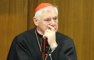 Cardenal Gerhard Mu00fcller / Foto: ACI Prensa - Bohumil Petrik 