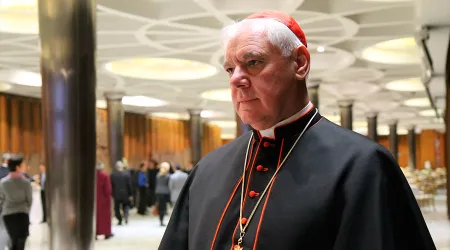 Cardenal Müller: Ideología de género se ha convertido en una nueva religión