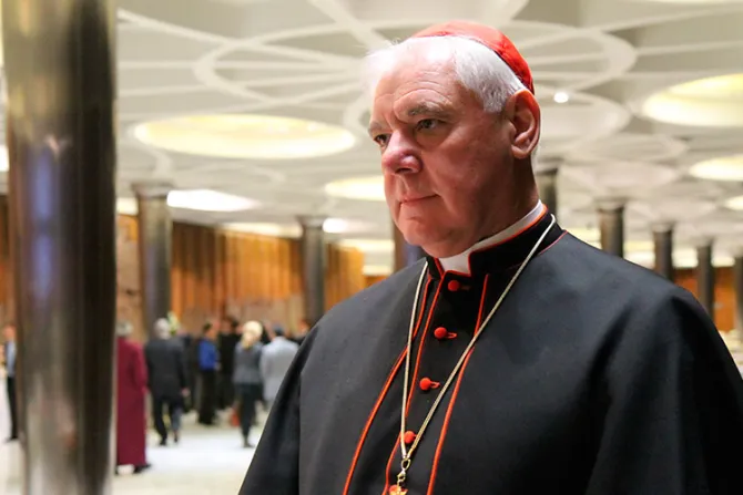 Cardenal Müller: Ideología de género se ha convertido en una nueva religión
