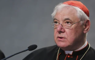 Cardenal Gerhard Mu00fcller, Prefecto Emu00e9rito de la Congregaciu00f3n para la Doctrina de la Fe. Foto: Daniel Ibu00e1u00f1ez / ACI Prensa 