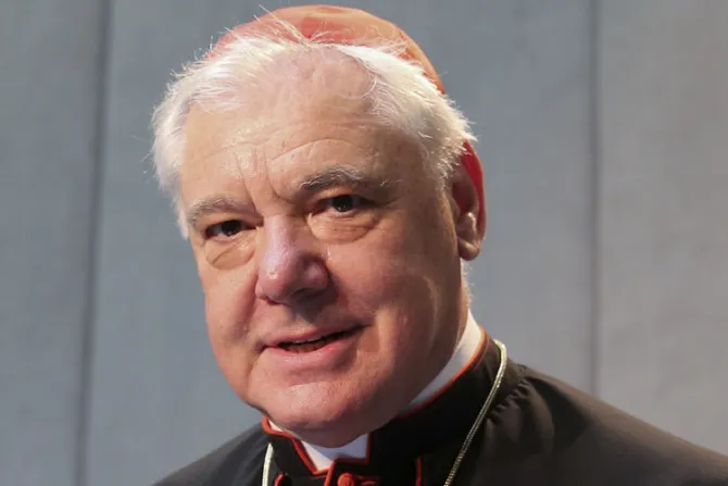 Cardenal Müller: Hay grupos que quieren que yo lidere un movimiento contra el Papa
