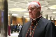 Cardenal Müller pide al Vaticano declaración clara ante bendición de uniones gay en Alemania