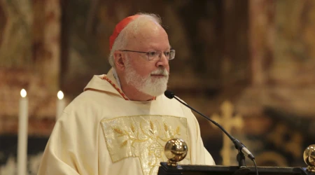 u00bfQuu00e9 pensu00f3 el Papa Francisco tras declaraciu00f3n del Cardenal O'Malley?