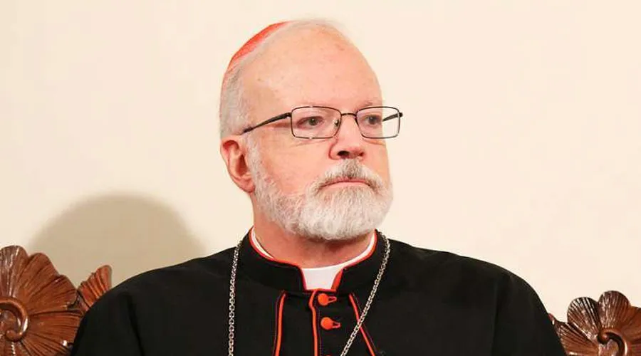 Cardenal Sean O'Malley. Foto Stephen Driscoll (ACI Prensa)
